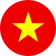 Vietnamese flag